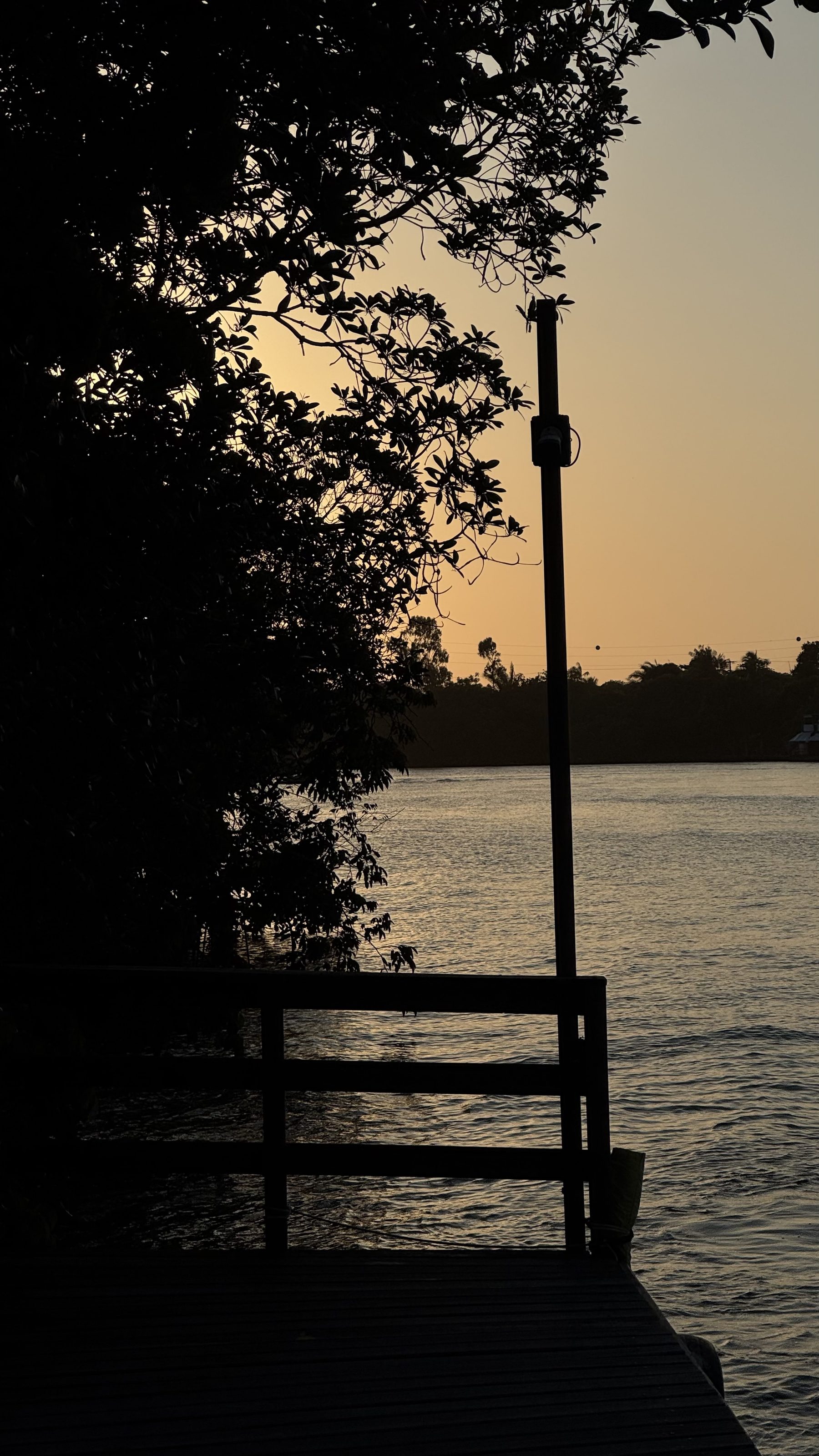 Pôr do sol num rio, com uma árvore em silhueta